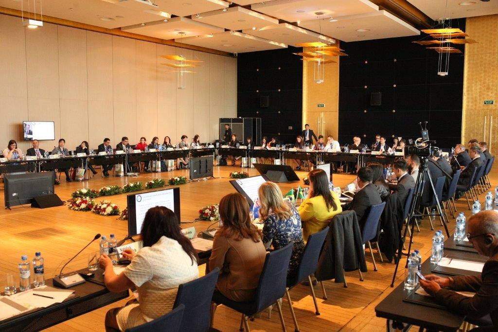 Заседание Руководящего комитета IMDRF